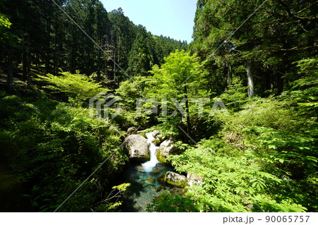 林道わきの小滝と青空　 90065757