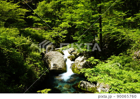 林道わきの小滝 90065760