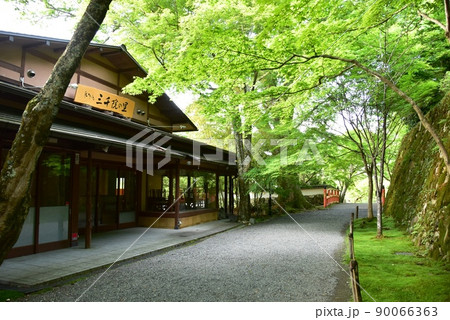 京都市　大原三千院御殿門前参道（大原女の小径）の新緑と茶店 90066363