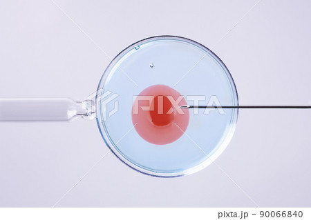 In vitro fertilisation concept. Artificial insemination or fertility treatment macro photography. 90066840