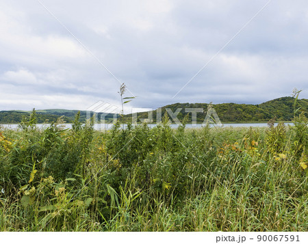 北海道礼文島・久種湖 / Lake Kushu, Japan 90067591