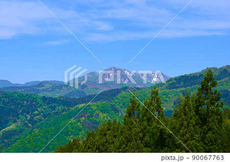 大日山　春　加賀市 90067763
