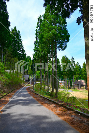 東山いこいの森　キャンプ場　勝山市 90067765