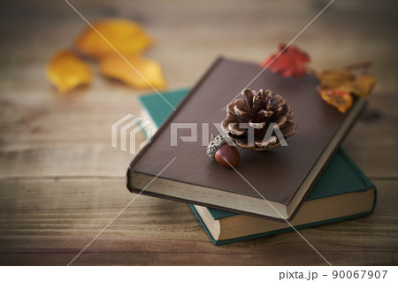 秋の読書イメージ 90067907