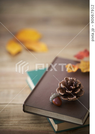 秋の読書イメージ 秋の読書イメージ 90067912