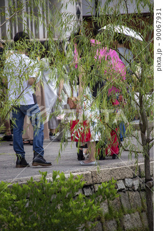 柳並木を散策する観光客 90067931