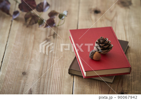 赤い表紙の本に置かれたどんぐりと松ぼっくり 90067942