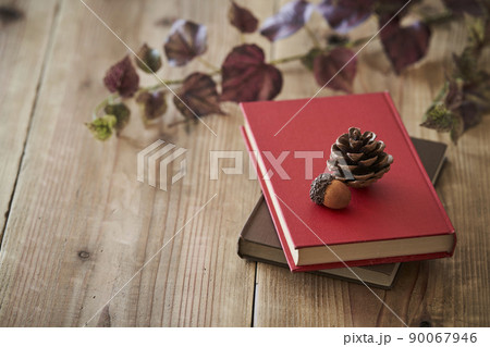 赤い表紙の本に置かれたどんぐりと松ぼっくり 90067946