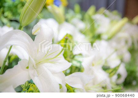 葬儀場の花祭壇 葬儀場の花祭壇 90068440