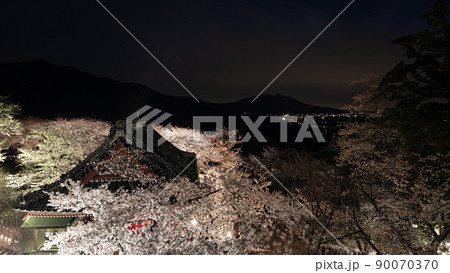 雨引観音の桜と仁王門　ライトアップ　春の風景 90070370