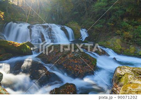 紅葉の江竜田の滝 90071202