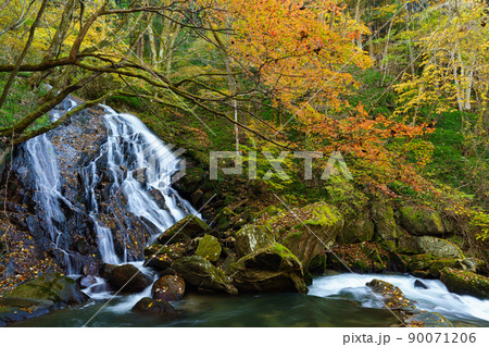 紅葉の江竜田の滝 紅葉の江竜田の滝 90071206
