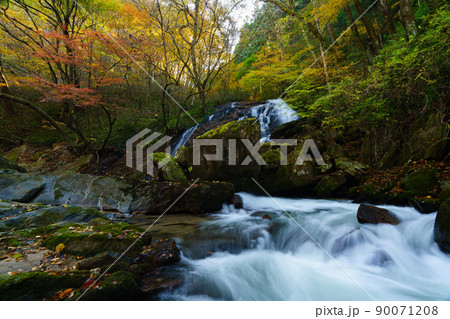 紅葉の江竜田の滝 90071208