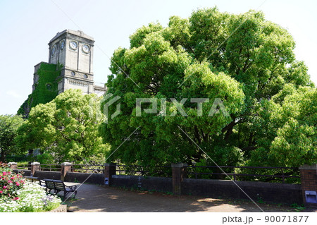 横浜競馬場遺構 ~根岸森林公園~ 横浜競馬場遺構 ~根岸森林公園~ 90071877