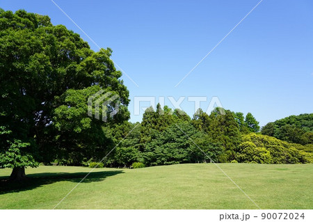 根岸森林公園 根岸森林公園 90072024