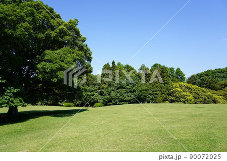 根岸森林公園 根岸森林公園 90072025