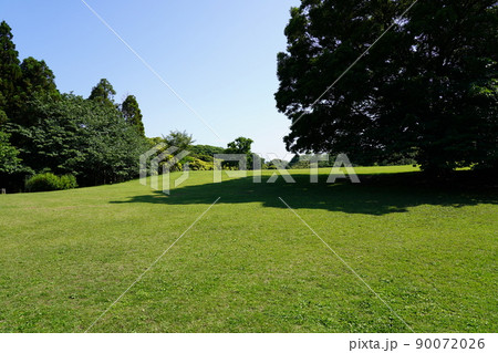 根岸森林公園 根岸森林公園 90072026