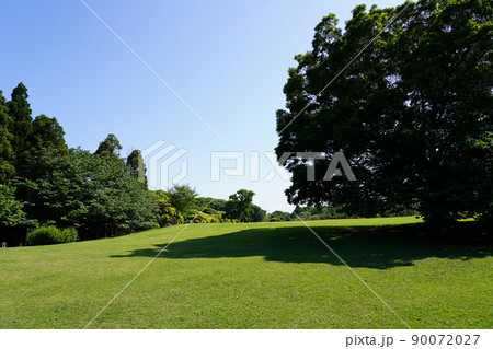 根岸森林公園 根岸森林公園 90072027