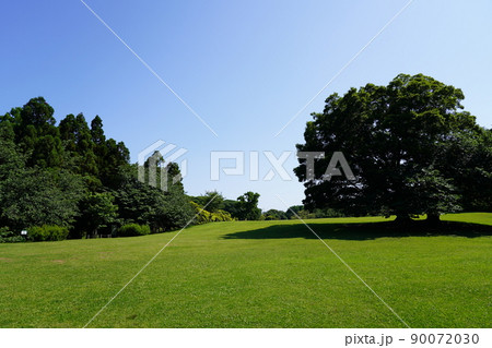 根岸森林公園 根岸森林公園 90072030