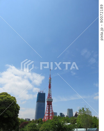 芝公園から見える東京タワー 芝公園から見える東京タワー 90072189