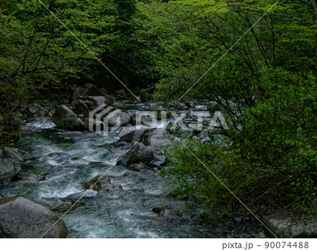加子母乙女渓谷 加子母乙女渓谷 90074488