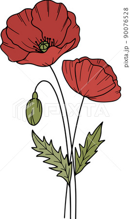 탄생화 - 8월, 양귀비のイラスト素材 [90076528] - PIXTA