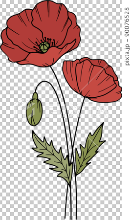 Birth Flower - August, Poppy 90076528