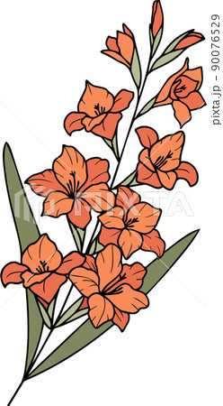グラジオラス 花 植物 90076529