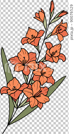 グラジオラス 花 植物 90076529