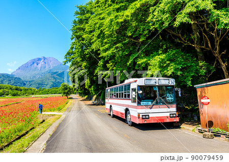 しまばら火張山花公園のポピー 平成新山 廃バス 【長崎市島原市】 しまばら火張山花公園のポピー 平成新山 廃バス 【長崎市島原市】 90079459