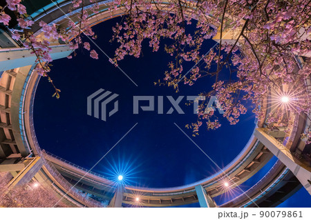 河津七滝ループ橋と河津桜との共演 河津七滝ループ橋と河津桜との共演 90079861