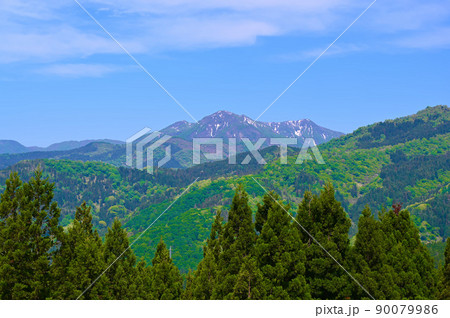 大日山　春　加賀市 90079986