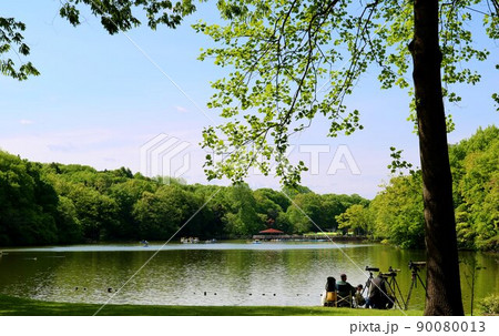 新緑がきれいな午後 穏やかな春の風景 真岡井頭公園 新緑がきれいな午後 穏やかな春の風景 真岡井頭公園 90080013