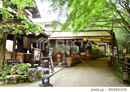 京都市　大原三千院参道（大原女の小径）と京漬物店と新緑 90080200