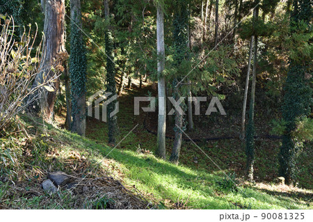 白井城跡　本丸周囲の三日月堀 90081325