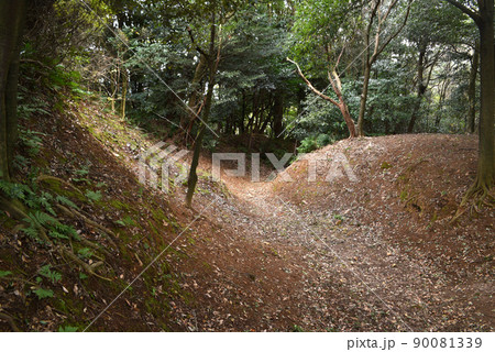 小牧山城跡 空堀 小牧山城跡 空堀 90081339