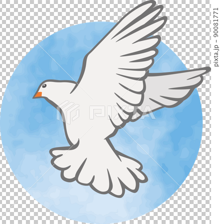 羽ばたいている1羽の白鳩のイメージイラスト 90081771