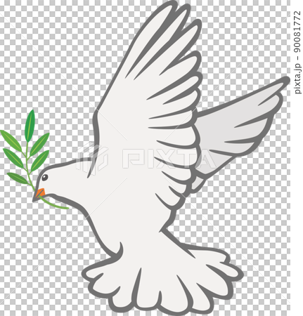 オリーブの葉をくわえて羽ばたいている1羽の白鳩のイメージイラスト 90081772