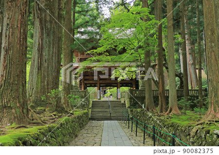 光前寺 参道と三門　長野県駒ケ根市 90082375