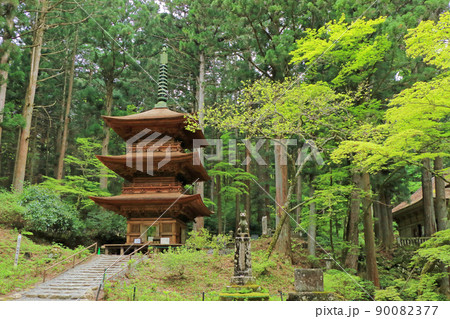 光前寺 改修工事の終わった三重塔　長野県駒ケ根市 90082377