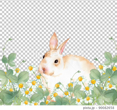 花畑のウサギ 水彩イラストのイラスト素材 [90082658] - PIXTA