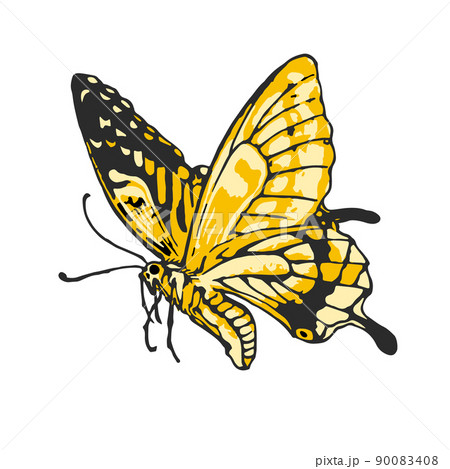 日本の正月小物「あげはちょう」のベクターイラスト。 90083408