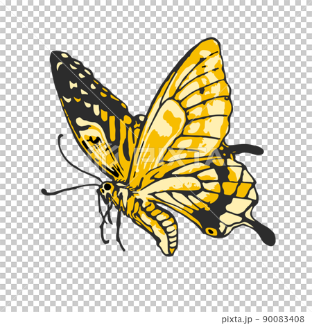 日本の正月小物「あげはちょう」のベクターイラスト。 90083408