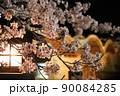夜桜と錦帯橋 90084285