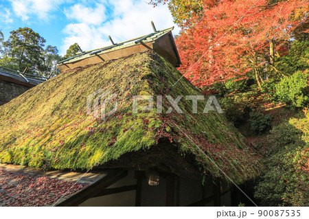 大興善寺の紅葉 大興善寺の紅葉 90087535