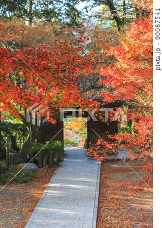 大興善寺の紅葉 90087541