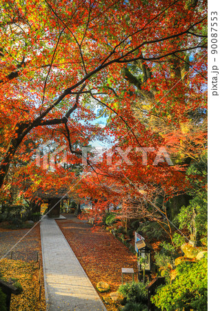 大興善寺の紅葉の写真素材