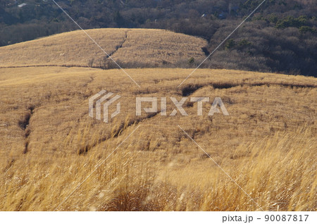 鉄砲木ノ頭（明神山）山頂からのススキの山の眺め 90087817