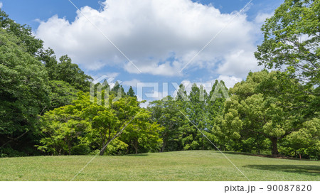 晴れた日の公園|千葉県千葉市・泉谷公園 晴れた日の公園|千葉県千葉市・泉谷公園 90087820