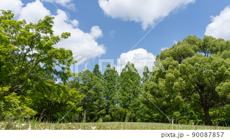 晴れた日の公園｜千葉市・泉谷公園 90087857